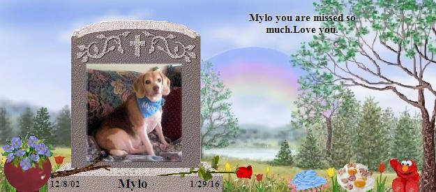 Mylo's Rainbow Bridge Pet Loss Memorial Residency Image