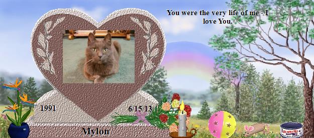 Mylon's Rainbow Bridge Pet Loss Memorial Residency Image