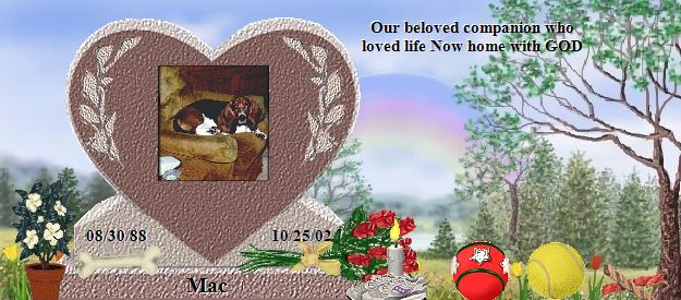 Mac's Rainbow Bridge Pet Loss Memorial Residency Image