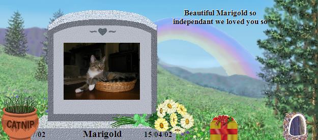 Marigold's Rainbow Bridge Pet Loss Memorial Residency Image