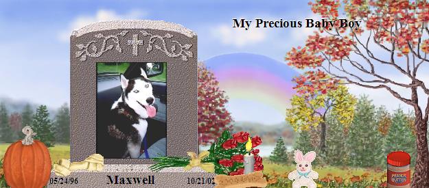 Maxwell's Rainbow Bridge Pet Loss Memorial Residency Image