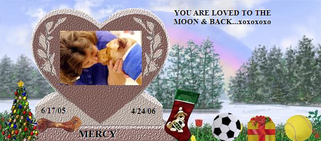 MERCY's Rainbow Bridge Pet Loss Memorial Residency Image