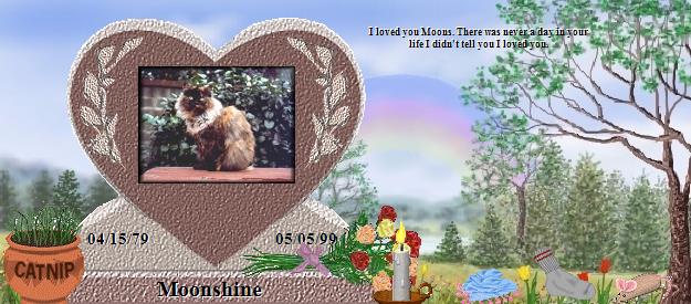 Moonshine's Rainbow Bridge Pet Loss Memorial Residency Image