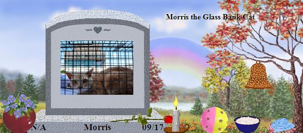 Morris's Rainbow Bridge Pet Loss Memorial Residency Image
