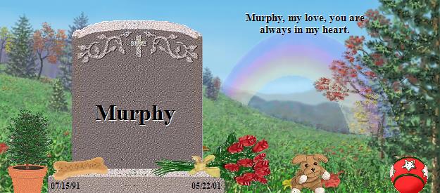 Murphy's Rainbow Bridge Pet Loss Memorial Residency Image