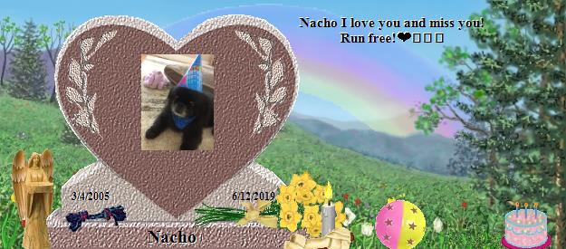 Nacho's Rainbow Bridge Pet Loss Memorial Residency Image