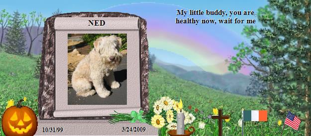 NED's Rainbow Bridge Pet Loss Memorial Residency Image