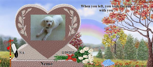 Nemo's Rainbow Bridge Pet Loss Memorial Residency Image