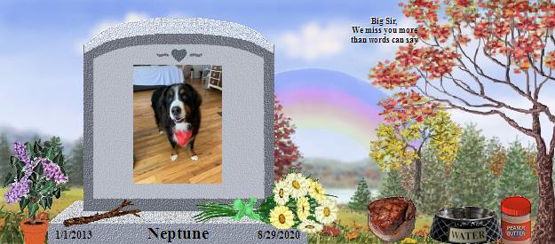 Neptune's Rainbow Bridge Pet Loss Memorial Residency Image