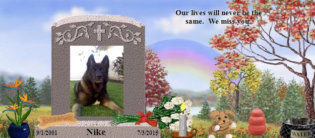 Nike's Rainbow Bridge Pet Loss Memorial Residency Image