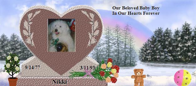 Nikki's Rainbow Bridge Pet Loss Memorial Residency Image