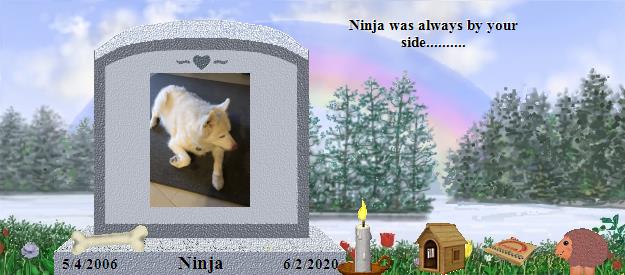 Ninja's Rainbow Bridge Pet Loss Memorial Residency Image