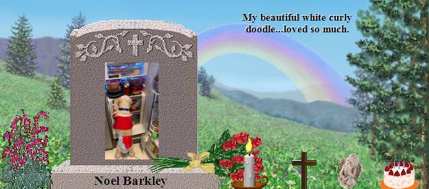 Noel Barkley's Rainbow Bridge Pet Loss Memorial Residency Image