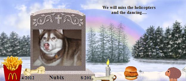 Nubix's Rainbow Bridge Pet Loss Memorial Residency Image