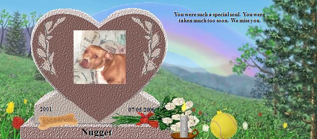 Nugget's Rainbow Bridge Pet Loss Memorial Residency Image