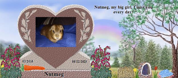 Nutmeg's Rainbow Bridge Pet Loss Memorial Residency Image