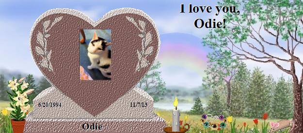 Odie's Rainbow Bridge Pet Loss Memorial Residency Image