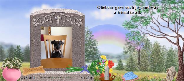 Oliver Von Schroeder alias Oliebear's Rainbow Bridge Pet Loss Memorial Residency Image