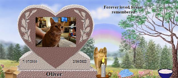 Oliver's Rainbow Bridge Pet Loss Memorial Residency Image