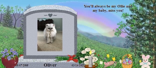 Oliver's Rainbow Bridge Pet Loss Memorial Residency Image