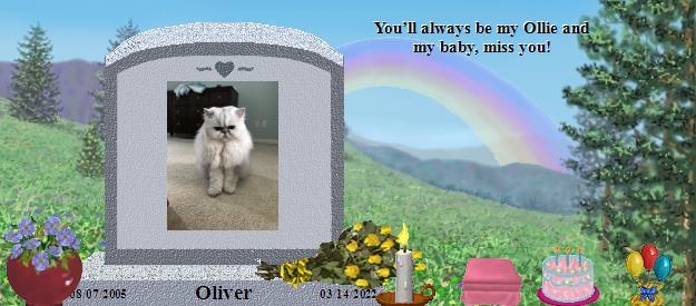 Oliver's Rainbow Bridge Pet Loss Memorial Residency Image
