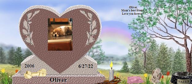 Oliver's Rainbow Bridge Pet Loss Memorial Residency Image