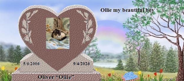 Oliver &ldquo;Ollie&rdquo;'s Rainbow Bridge Pet Loss Memorial Residency Image