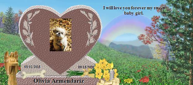 Olivia Armendariz's Rainbow Bridge Pet Loss Memorial Residency Image