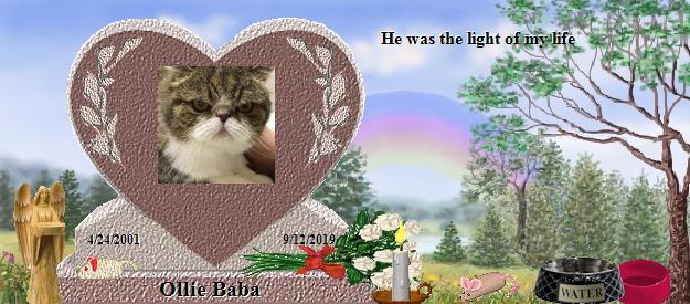 Ollie Baba's Rainbow Bridge Pet Loss Memorial Residency Image
