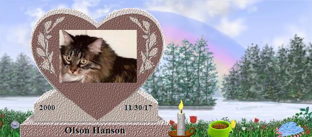 Olson Hanson's Rainbow Bridge Pet Loss Memorial Residency Image