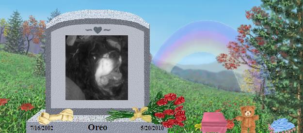 Oreo's Rainbow Bridge Pet Loss Memorial Residency Image