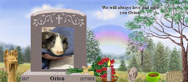Orion's Rainbow Bridge Pet Loss Memorial Residency Image