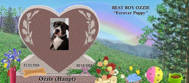 Ozzie (Haupt)'s Rainbow Bridge Pet Loss Memorial Residency Image