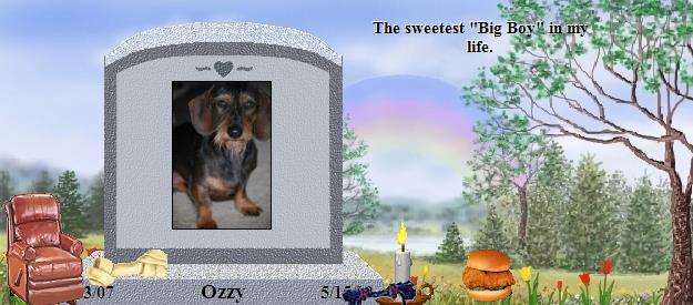 Ozzy's Rainbow Bridge Pet Loss Memorial Residency Image