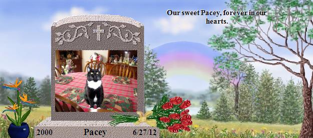 Pacey's Rainbow Bridge Pet Loss Memorial Residency Image
