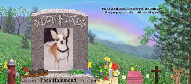Paco Hammond's Rainbow Bridge Pet Loss Memorial Residency Image
