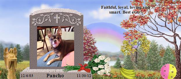 Pancho's Rainbow Bridge Pet Loss Memorial Residency Image