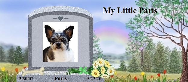 Paris's Rainbow Bridge Pet Loss Memorial Residency Image