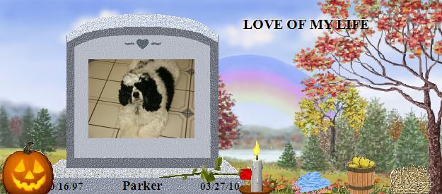 Parker's Rainbow Bridge Pet Loss Memorial Residency Image