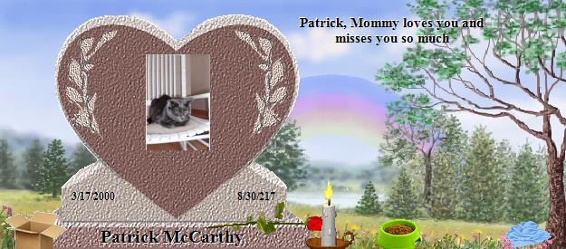 Patrick McCarthy's Rainbow Bridge Pet Loss Memorial Residency Image
