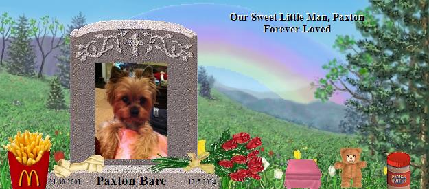 Paxton Bare's Rainbow Bridge Pet Loss Memorial Residency Image