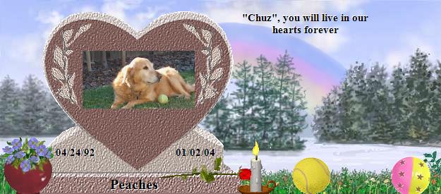 Peaches's Rainbow Bridge Pet Loss Memorial Residency Image