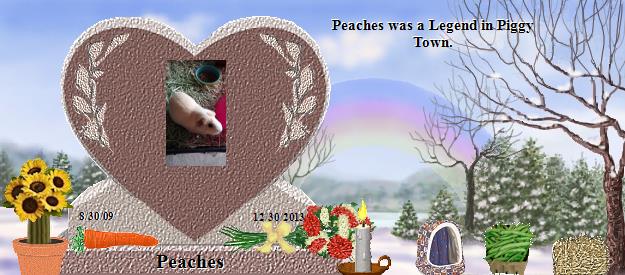 Peaches's Rainbow Bridge Pet Loss Memorial Residency Image