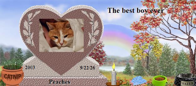 Peaches's Rainbow Bridge Pet Loss Memorial Residency Image