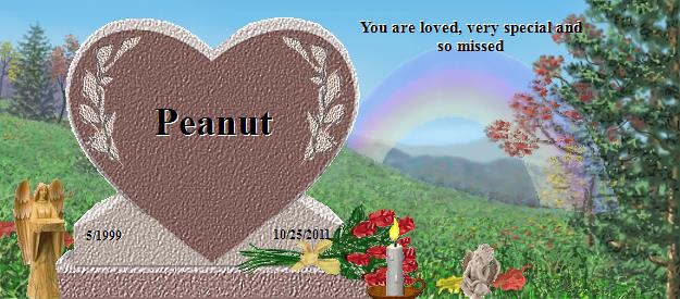 Peanut's Rainbow Bridge Pet Loss Memorial Residency Image