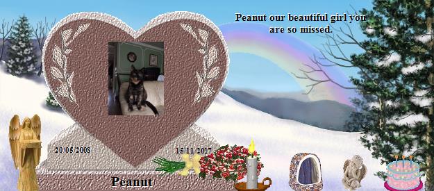 Peanut's Rainbow Bridge Pet Loss Memorial Residency Image