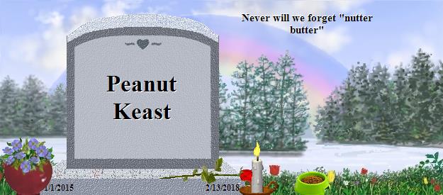 Peanut Keast's Rainbow Bridge Pet Loss Memorial Residency Image