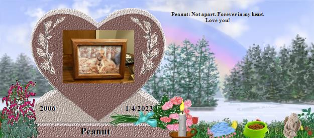 Peanut's Rainbow Bridge Pet Loss Memorial Residency Image
