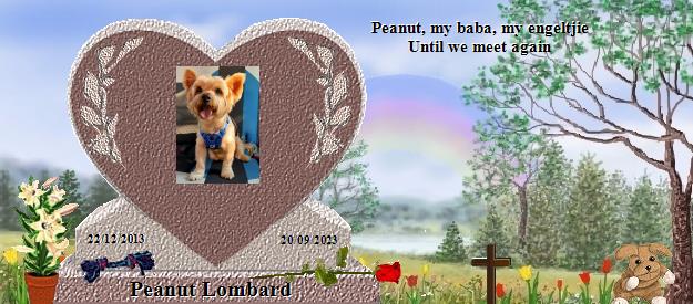 Peanut Lombard's Rainbow Bridge Pet Loss Memorial Residency Image