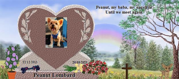 Peanut Lombard's Rainbow Bridge Pet Loss Memorial Residency Image